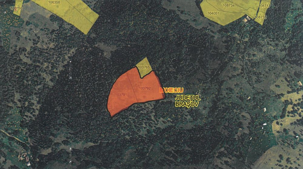 Teren cu vedere la Piatra Craiului