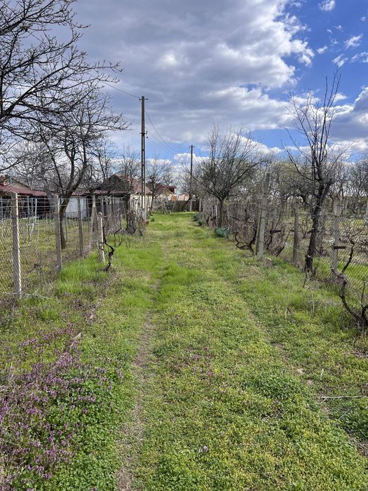 Vand casa din paianta, S 100 mp, teren intravilan 3200 mp, Poiana Varsaturii, com. Jaristea