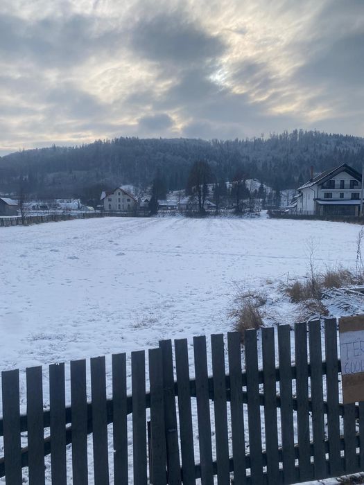 Teren Frasin 6000 m²