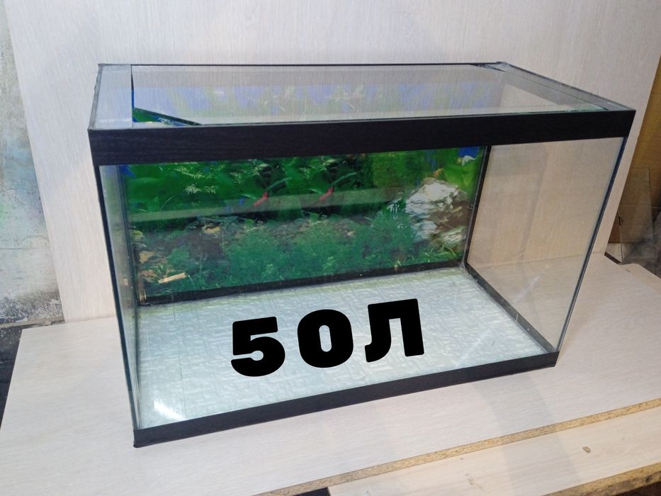 Аквариумы с бесплатной доставкой