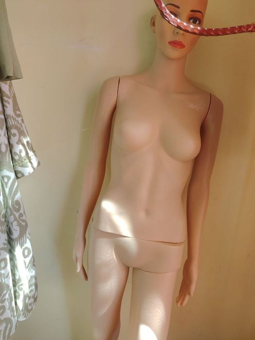 Maniken sotiladi