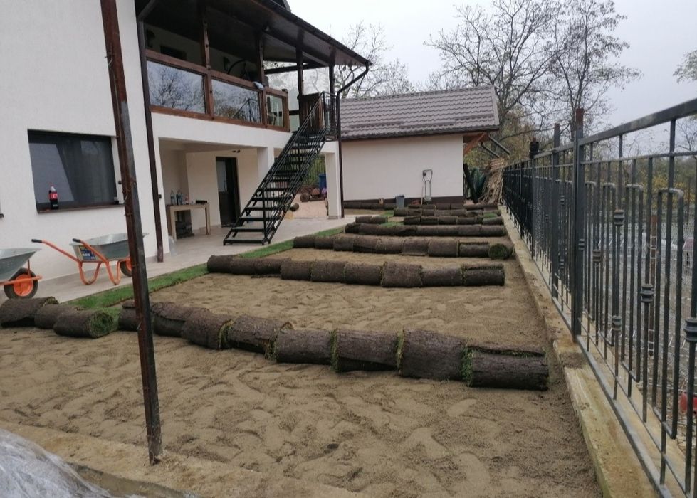 Gazon rulou de trafic. 24 de lei m2.Transport si montaj inclus în preț