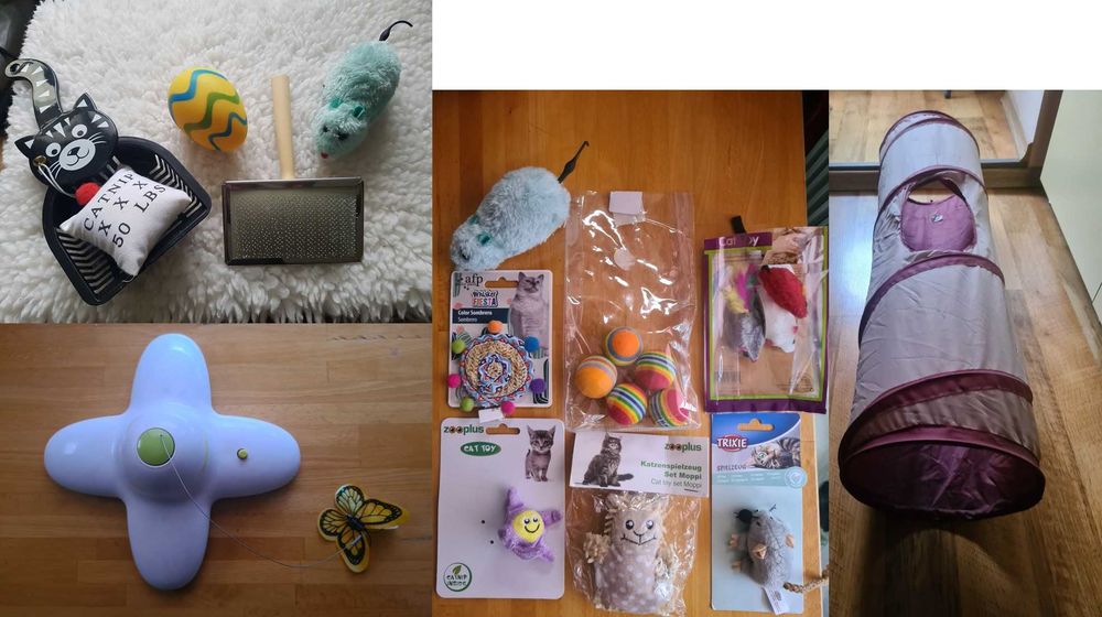 Articole animale: Lesa, Ham, Zgarda, Botnita, Boluri, Perie, Jucarii