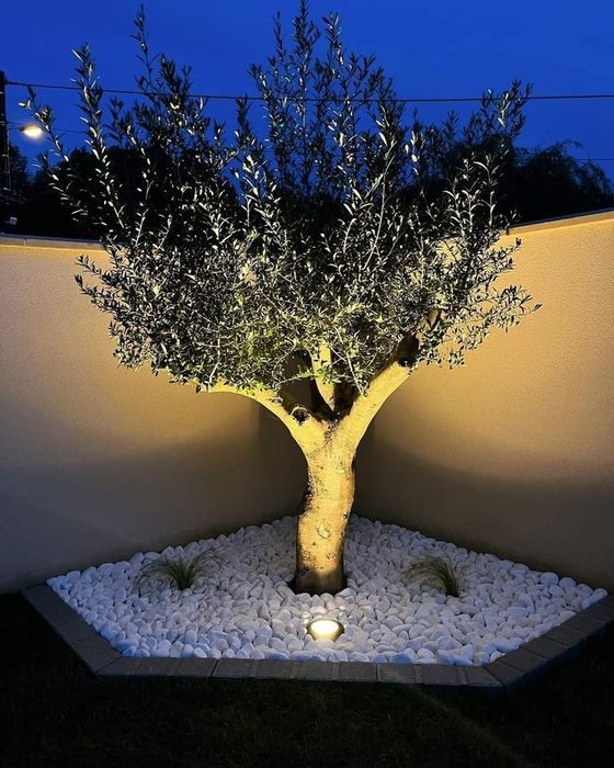 Ландшафтний белый галка камен