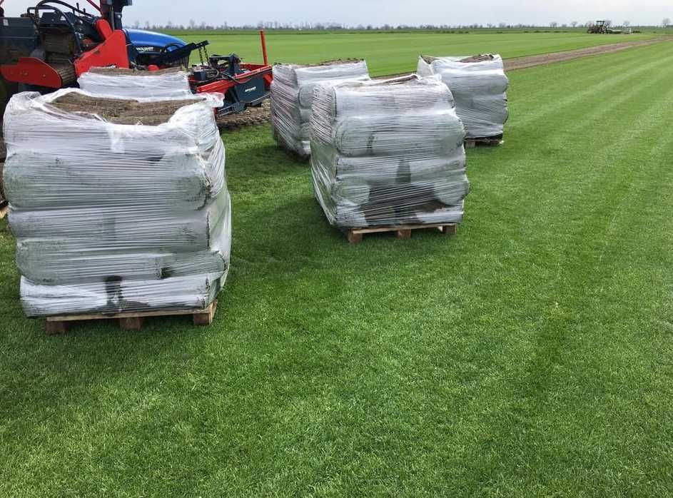 Gazon Rulou Sisteme de Irigare Profesionale Oriunde in tara