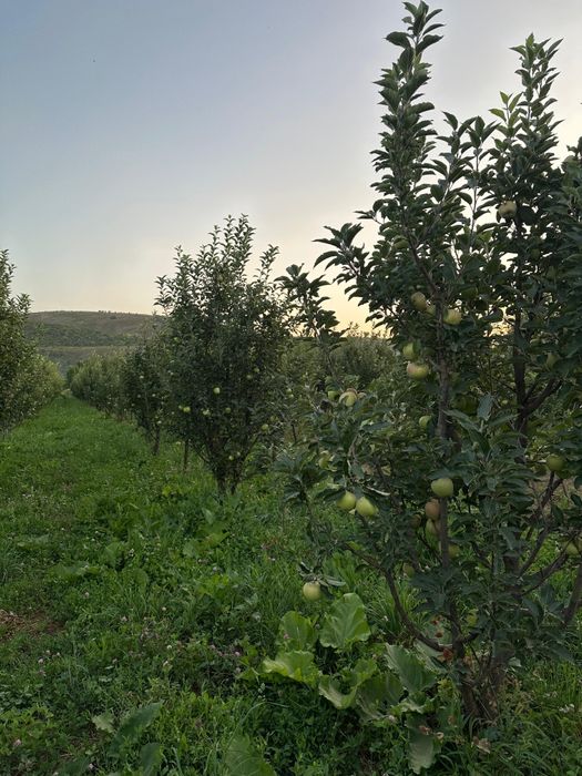 Прадается дом торг уместен