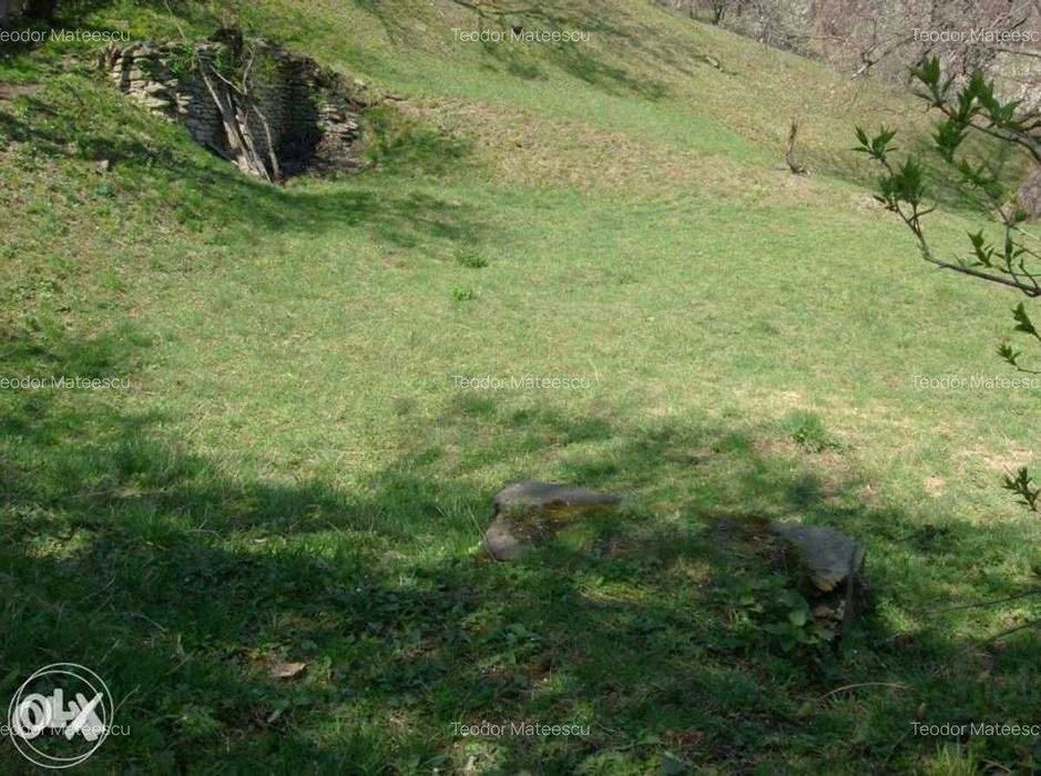 Vand Teren Intravilan Maneciu-Ungureni, Jud. Prahova