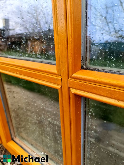 Termopan lemn masiv,Stejar,Austria(Georg 5114)