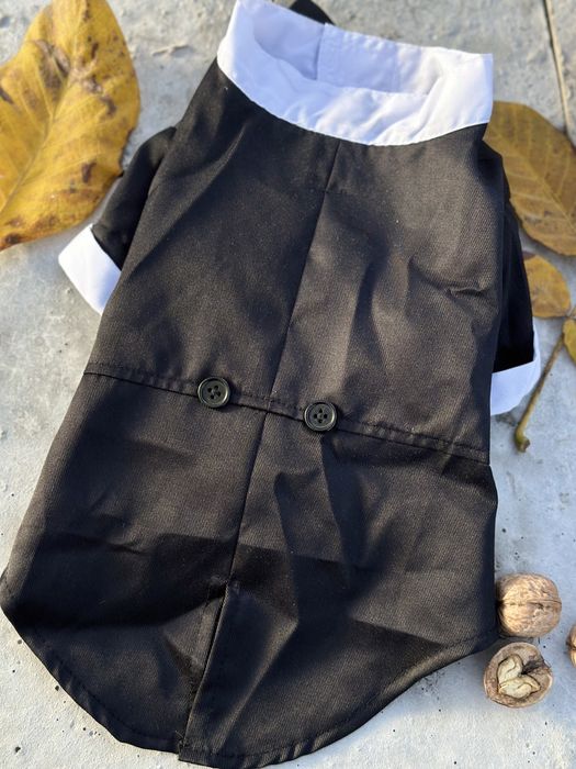 Фрак, смокинг для собак