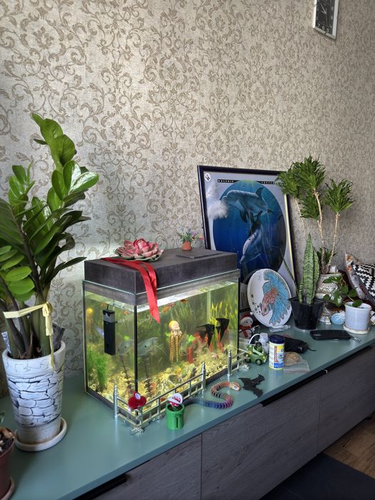 Аквариум с рыбками 60л