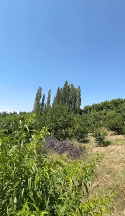 Progress (Fayzobod)dan Dacha Sotiladi