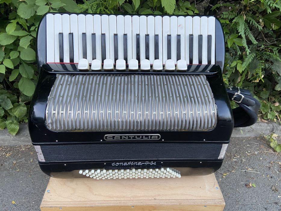 Acordeon nemtesc Cantulia cu 96 de basi ton de orga