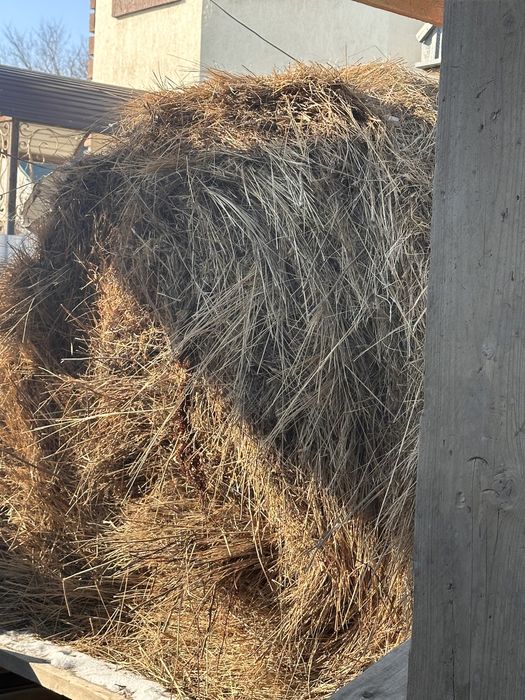 Шөп рулон шоп түк