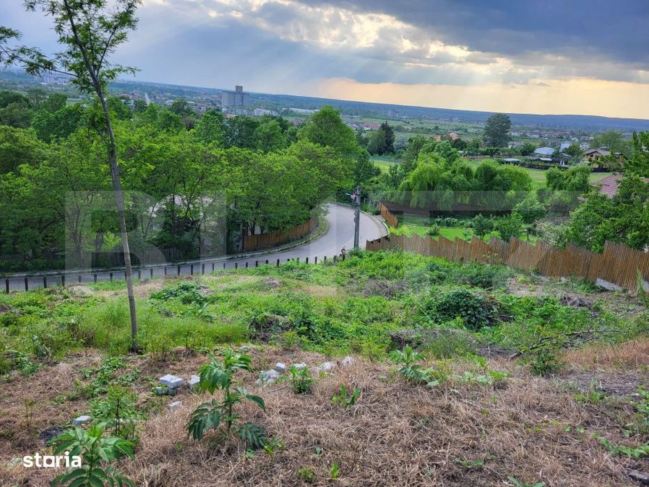 Teren intravilan, 1295 mp, oportunitate de investitie, zona Aleea Mana