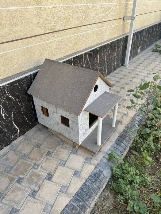 Кучуклага мушукчалар уйча