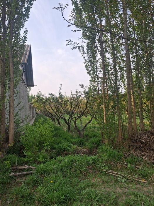 10 sotix chek sotiladi