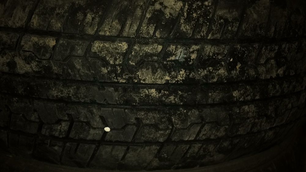 Балон на Карину Е