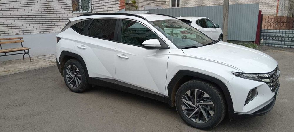 обмен на коров телок