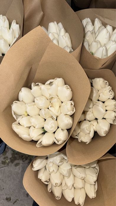 Тюльпан оптом Беларусь