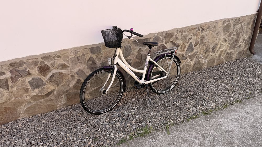 Bicicleta Dama Batavus