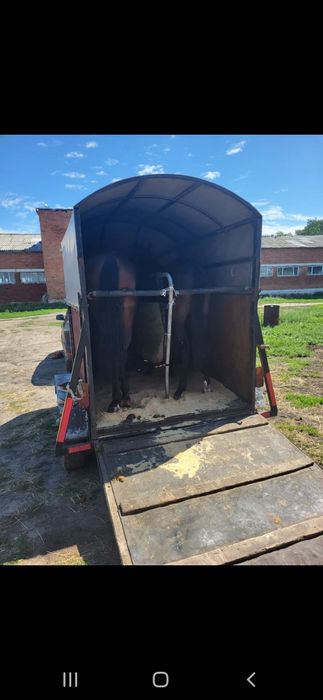 Продам коневозку