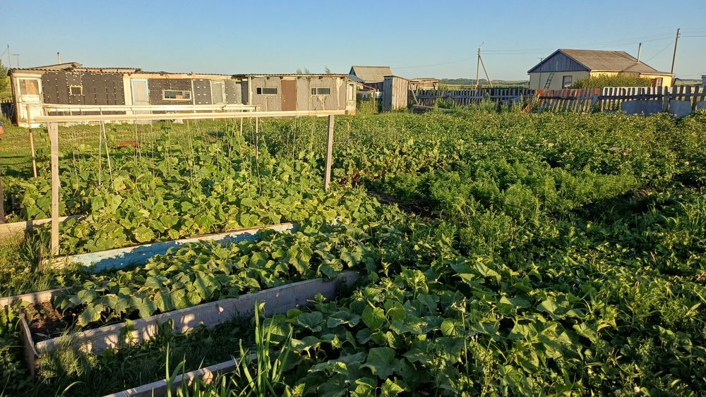 Продам дом в Бишкуле