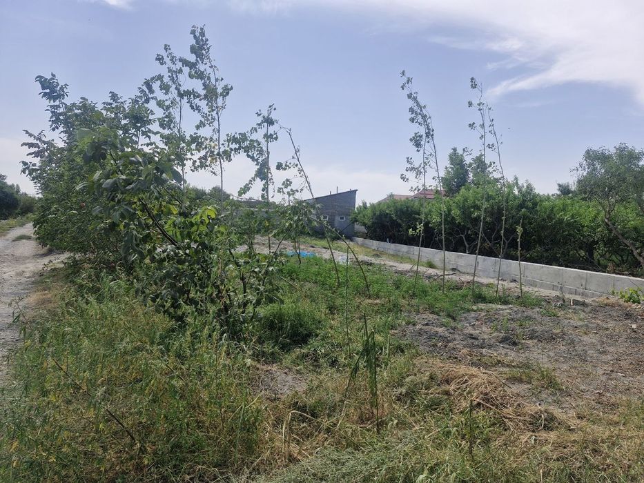 Farg'ona viloyati qo'qon shaxri airoport atrofida 8 sotok