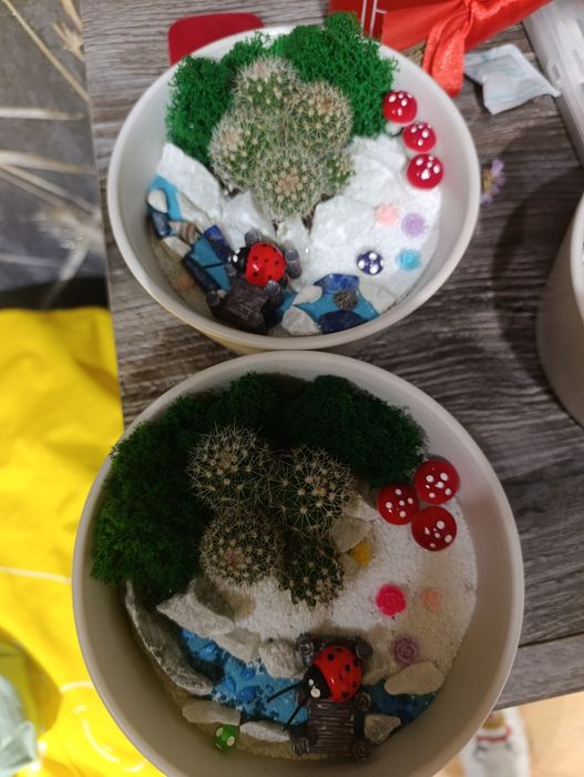 Продам флорариум для любого праздника.