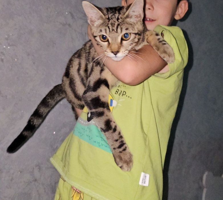 Uy qurilishi swinger jinsiy aloqa video