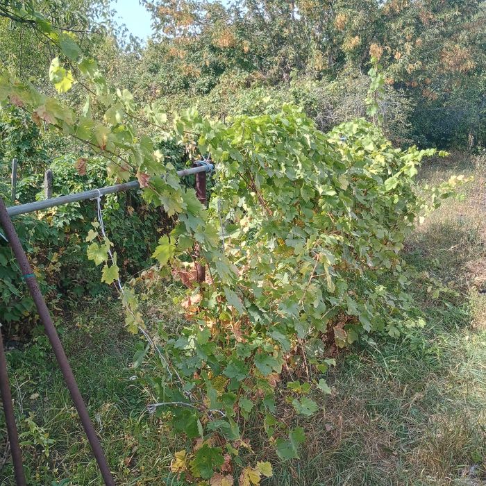 Продам дачу 19 маршрут