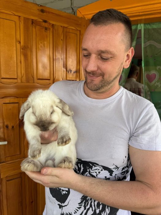 Вольер с кроликом