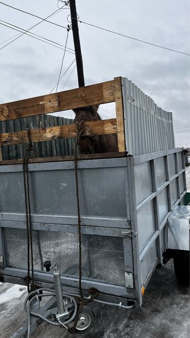 Прицеп для легкового авто