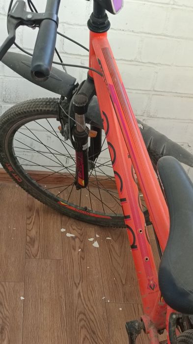 Велик сост хорошее