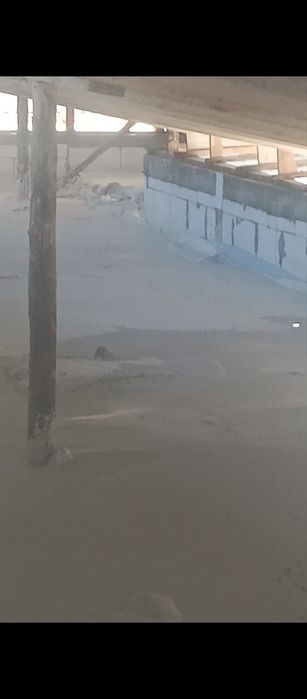 Tomga pena lomboz hizmati 40 mingdan