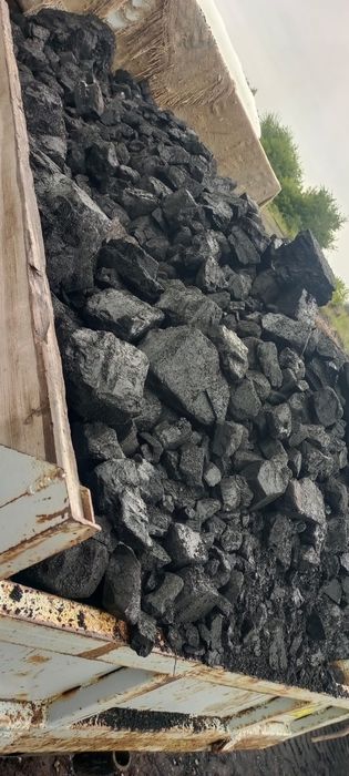 Уголь Майкуб Каражара Орех Сортовой