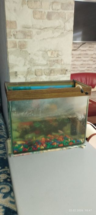 Аквариум для рыбок 100