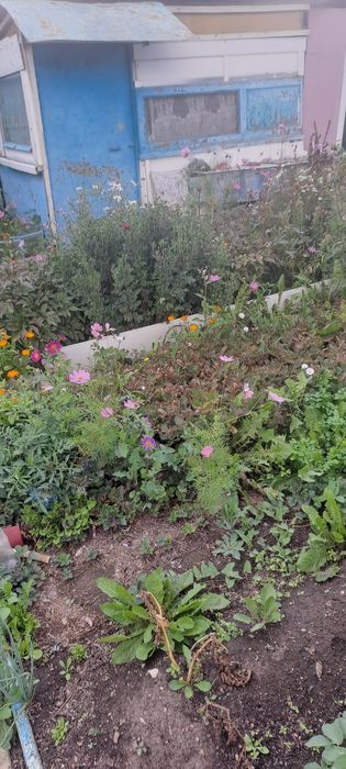 Продам дачу по Кр.Яр трассе