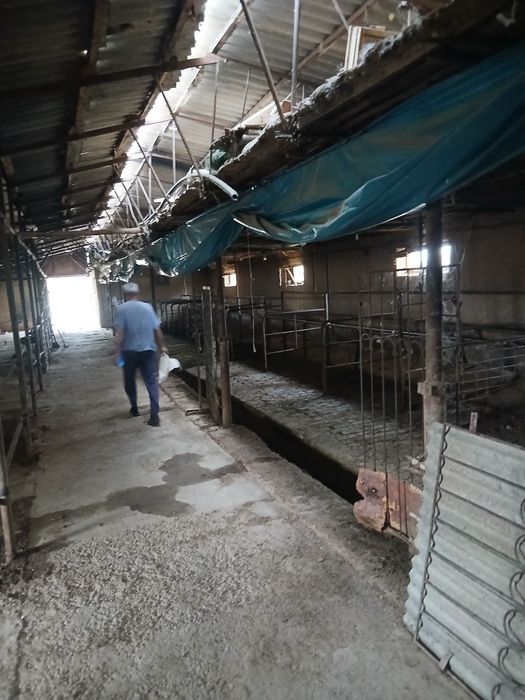 Участка ва молхона