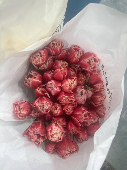 Продам тюльпаны