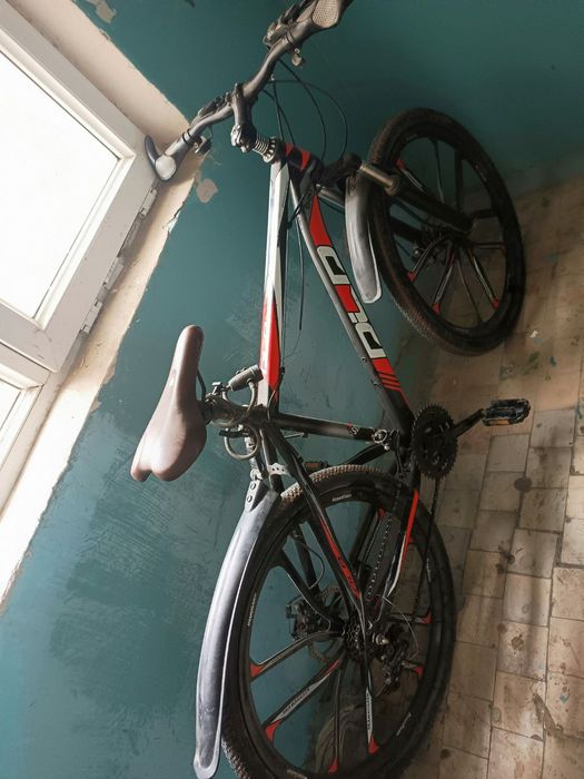 Xotiningiz bilan jinsiy aloqa