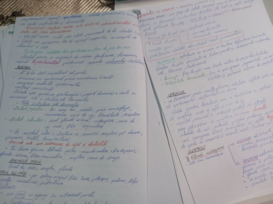 Vând notițe  admitere Medicină din Barrons +Netter pdf la 50 de lei .