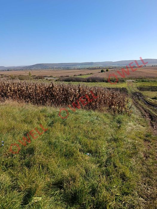 De vânzare terenuri extravilane, situate în Glodeni