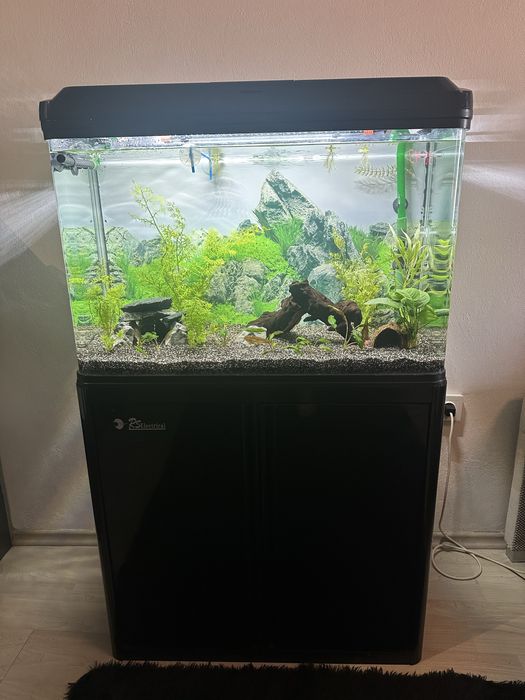 Аквариум 80х36х60 с шкаф и оборудване