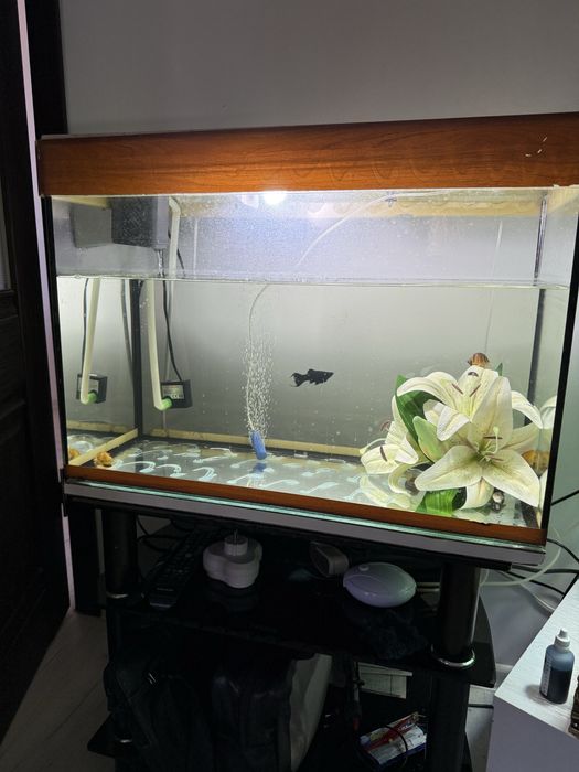 Аквариум 4 штуки