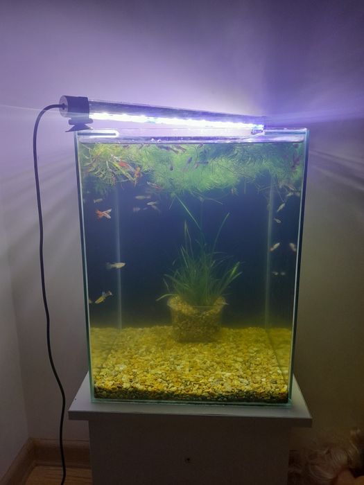 Продам аквариум кубик