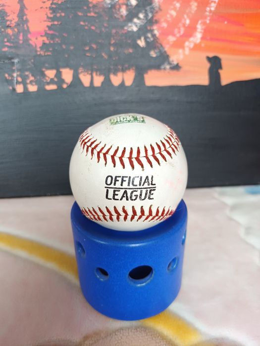 Minge Baseball Official League Dick's