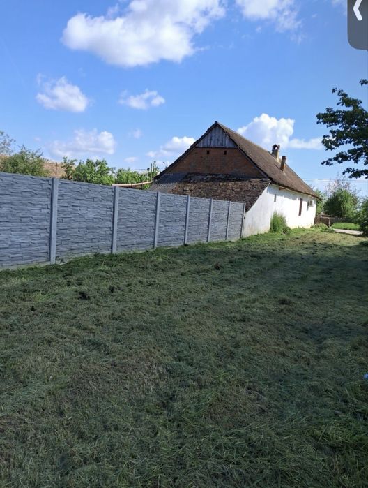 Teren de vânzare Parța 40€mp