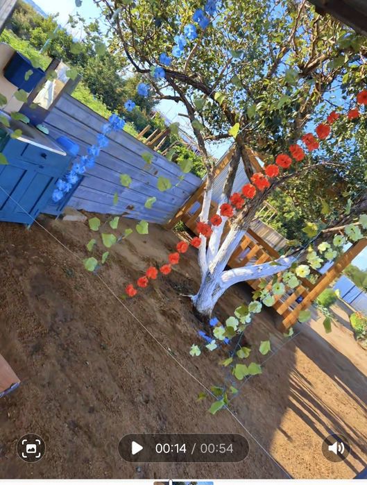 Дача на 1 водоколонке