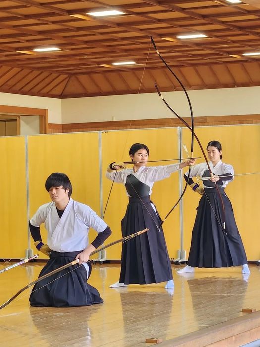 Сламени щитове , мишени - професионални - за арбалети и компаунд