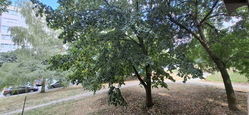 Продавам тристаен апартамент в Овча купел 2